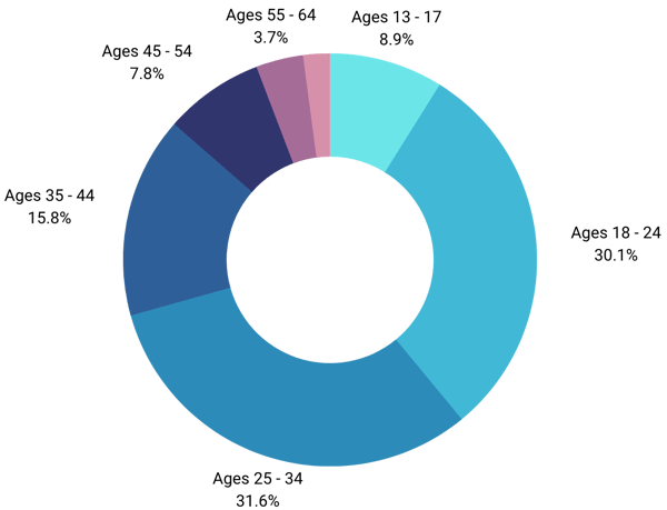 Age Group Pie Chart