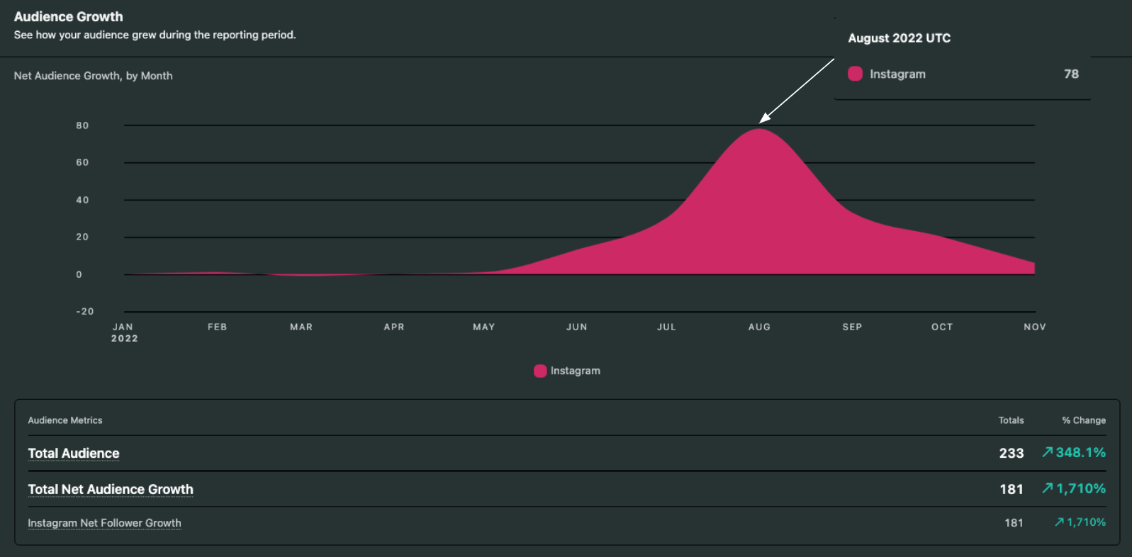 Instagram Audience Growth